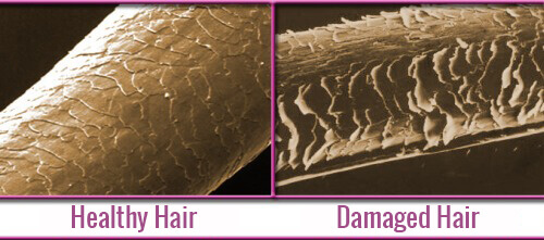 Четыре природных средства для укрепления волос