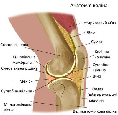 Боль в коленях? Причины и способы лечения