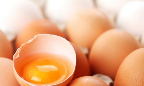 Что полезнее: яичный белок или желток?