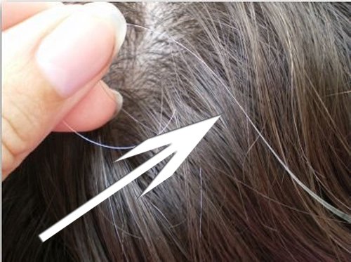 Причины и натуральные средства против седых волос